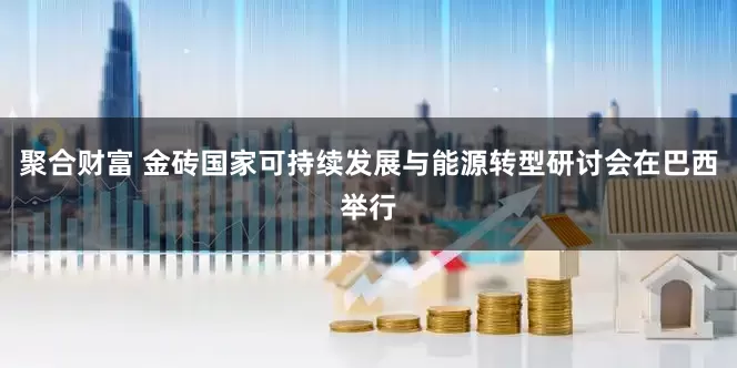 聚合财富 金砖国家可持续发展与能源转型研讨会在巴西举行