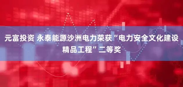 元富投资 永泰能源沙洲电力荣获“电力安全文化建设精品工程”二等奖