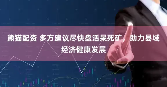 熊猫配资 多方建议尽快盘活呆死矿，助力县域经济健康发展